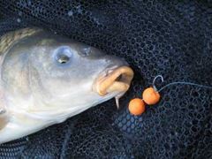 pasiune pentru culori